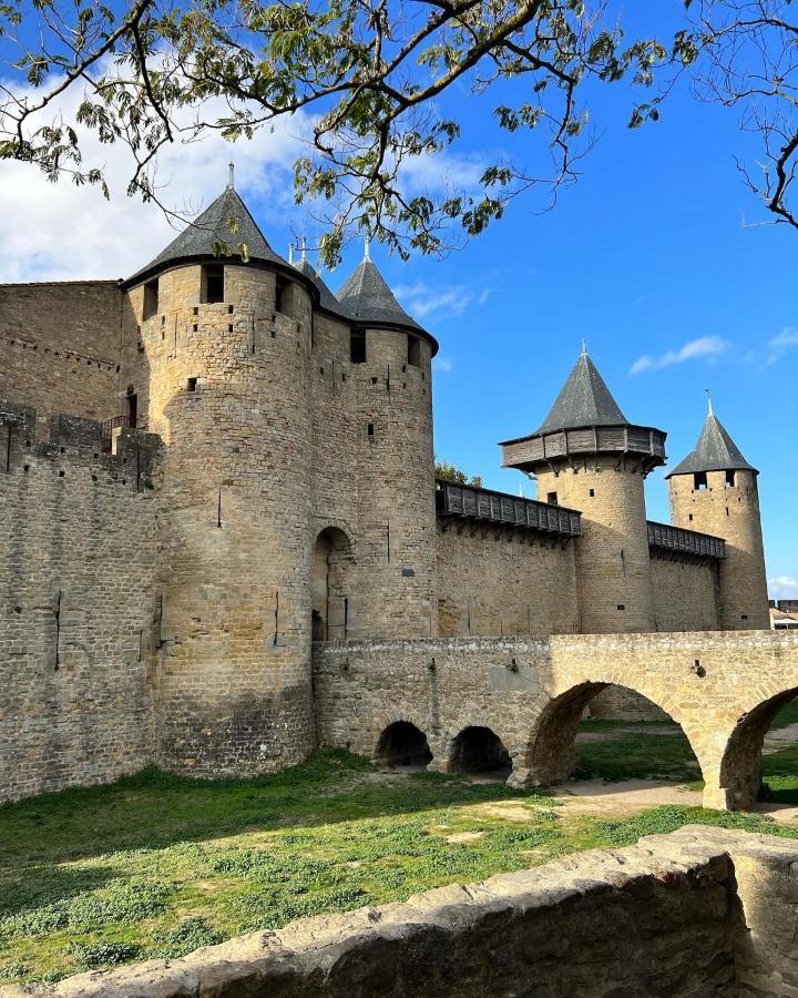 Le Bout Du Monde Appartement Hyper-Centre Carcassonne Ngoại thất bức ảnh